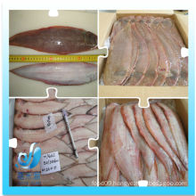 high quality frozen tongue sole fish